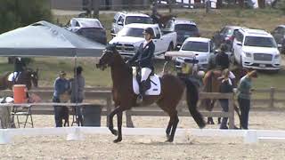 tdfv Taylor Stoney 2024 0524 Dressage Woodside