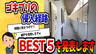 【2ch動物スレ】衝撃ゴキブリが家に侵入する経路トップ5がこちらｗｗｗｗｗｗｗｗ