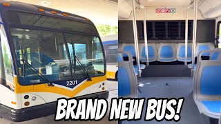 New Vs. Old Transit Bus | 2015 and 2022 Gillig BRT Plus CNG Bus