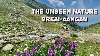 The unseen Beauty of Breari-aangan trek of Tral