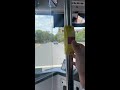 pressing the stop button on cdc hillsbus 9811 buses bus sydneybuses