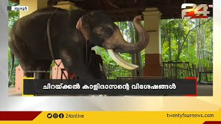 കർണാടകയിലെ ആശ്രമത്തിൽ നിന്ന് വരവ്; ഇന്ന് സിനിമാ താരം; ഇവൻ കൊമ്പൻമാരിലെ വമ്പൻ |World Elephant Day