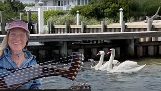 Monday Live revisits Swan Rescue