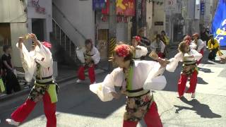 「岩城組＆いろは」　安濃津よさこい2012