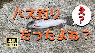 [4K] 愛媛の バス釣り [ 石手川ダム ]