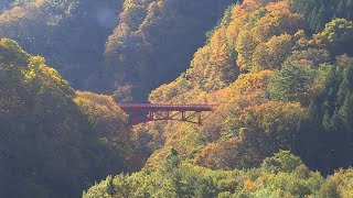 寒暖差で色づき一気に　紅葉の名所・松川渓谷で見頃　長野・高山村