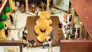 看看独家：泰迪熊Teddy bear珍藏110年纪念展亮相上海 泰迪熊展席卷申城