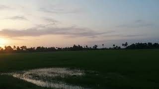 Beautiful Kuttanad Alleppey Alappuzha kerala India...during sunset