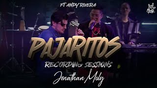 MOLY  -  Pajaritos (Recording Sessions) LIVE ft. Andy Rivera