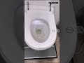 Bathroom Transformation Smart Toilet Upgrade and Bidet Beauty All in One #toilet #bathroom #fyp