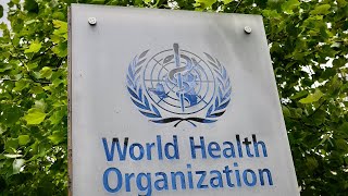 WATCH: The World Health Organization holds a briefing on coronavirus