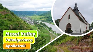 Virtual Scenery for Treadmill, Elliptical, Home Workout - A First Glance into Mosel Valley