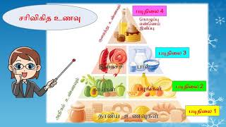 நலக்கல்வி ஆண்டு 2\u0026 3 ஆரோக்கியமான உணவு