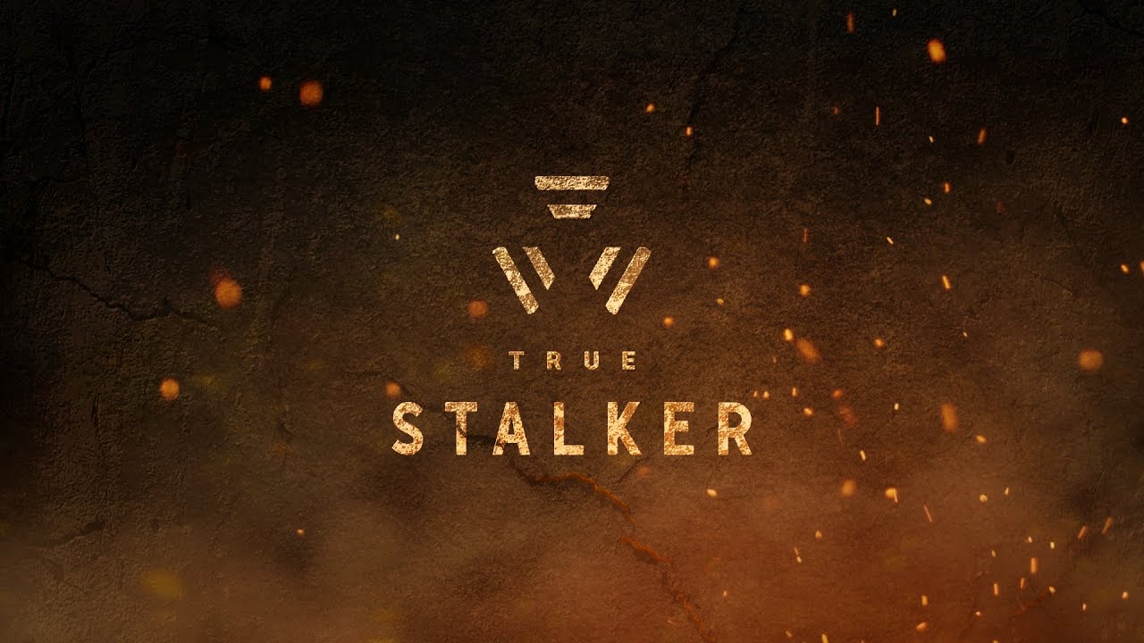 Посмотрим-с True Stalker