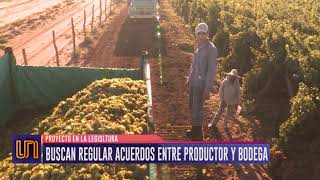 Buscan regular los acuerdos entre bodegas y productores