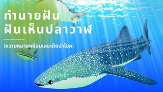 ทำนายฝัน ฝันเห็นปลาวาฬ ฝันถึง ฝันว่า เลขเด็ดนำโชค