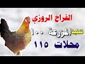 اسعار الفراخ البيضاء اليوم سعر الفراخ البيضاء اليوم الجمعه 2025 2 7 في مصر جمله وقطاعي