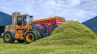 Mais hakselen en inkuilen met Breure-De Waard | Maishäckseln und Silo fahren | New Holland T7.220