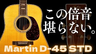 初めてのD45なら絶対コレ！【Martin D-45 Standard】2017年製（完全予約制 名古屋アコギ専門店 オットリーヤギター）