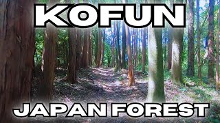 A secret ancient tomb hides within this Japanese forest - Sugisakigongen Kofun - 杉崎権現古墳