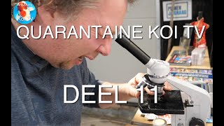 QUARANTAINE KOI TV | DEEL 11