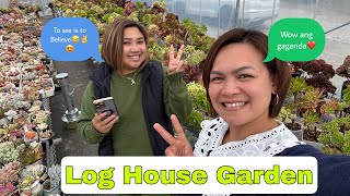 Drop by at log house Garden gifu ken