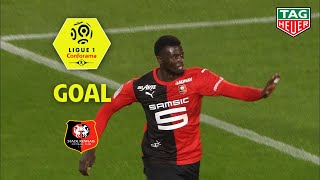 Goal Mbaye NIANG (71') / Stade Rennais FC - LOSC (3-1) (SRFC-LOSC) / 2018-19