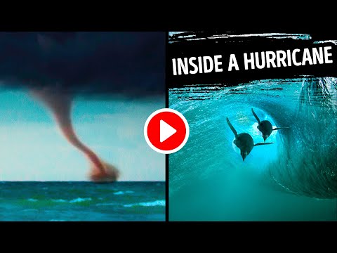 Can a submarine survive a hurricane?