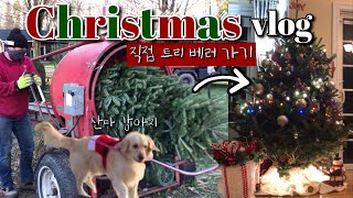 뉴욕에서 직접 크리스마스 나무🎄자르고 장식하는 힐링 브이로그 | 나무 농장에 같이 가요❗️