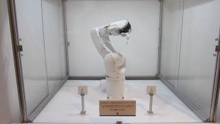 DENSO industrial robot