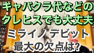 キャバクラ代などのクレヒスでも大丈夫? ミライノ デビット PLATINUM 最大のデメリットは?