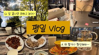 [VLOG] 일 끝나면 뭐하고 놀아? (평일 브이로그, ASMR)