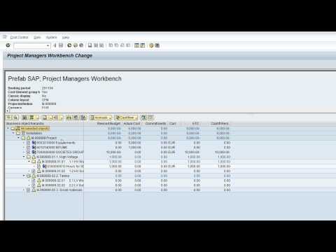 Project Cashflow | Dimensys Prefab SAP Project Cashflow | Dimensys Prefab SAP