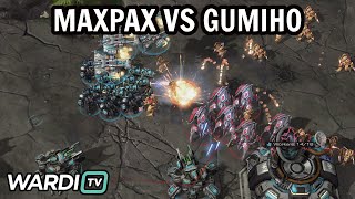 MaxPax vs GuMiho (PvT) - WardiTV Mondays 11 [StarCraft 2]