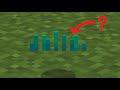 the most useless item in minecraft