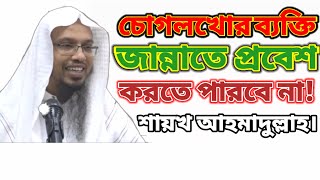 চোগলখোর ব্যক্তি জান্নাতে প্রবেশ করতে পারবে না, শায়খ আহমাদুল্লাহ