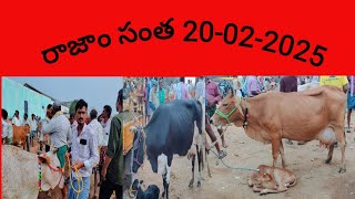 రాజాం సంత  February 20, 2025