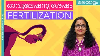 Ovulation കഴിഞ്ഞു എത്ര ദിവസത്തിനുള്ളിൽ Fertilization നടക്കും  MBT