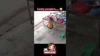 😮✨Luckiest people caught on camera I caught on camera💕✨ unbelievable 2022 #shorts #trending #viral