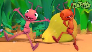 A Quest for Pears! | 1 Hour of Antiks🐜 | Funny Adventure Cartoons for Kids | Be Brave!