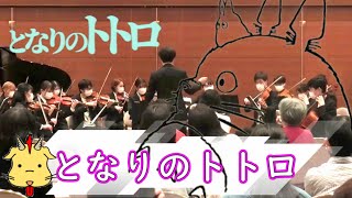 【となりのトトロ】となりのトトロ/オーケストラストーリーズ【弦楽合奏】(Strings.Draft)