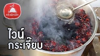 ทำอาหาร ง่ายๆ  ไวน์กระเจี๊ยบ | ครัวพิศพิไล