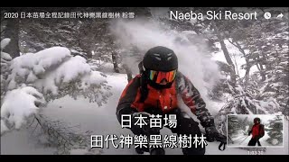 2020 日本苗場全程記錄田代神樂黑線樹林 粉雪