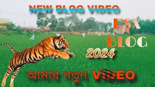 Hi Guys Amar Fast Blog Video। হাই গাইস আমাদের প্রথম ব্লক ভিডিও । Fast Video ♥️♥️♥️