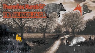FRÜHLINGSJAGD|ThermTecHunt650|Keiler