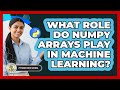 What Role Do NumPy Arrays Play In Machine Learning? - Python Code School