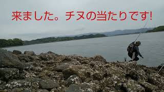 佐賀県伊万里湾、地磯チヌ釣り