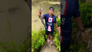 Lagi Gabut Nyeser Ikan Di Kobangan Dapat 2 Ikan Monster #lele #lelejumbo #gabus #gabusmonster