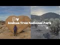 Heart Rock Trail & Cholla Cactus Garden  Joshua Tree National Park #nationalparks #hiking #adventure