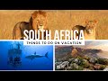 Top 5 Things to do in South Africa (2025 Guide)